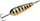Skeddrag Inkoo 18gr