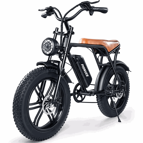 Elcykel Pionver E-bike P80