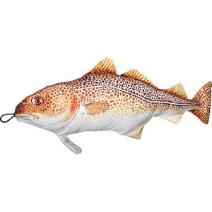 Mjukisdjur Torsk - 63cm