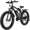 Elcykel Pionver E-bike P50
