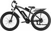 Elcykel Pionver E-bike P50