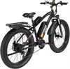 Elcykel Pionver E-bike P50
