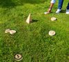 Rullkubb - nytt populärt sommarspel!